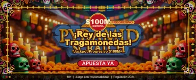 Experiencia de apuestas Betvip México
